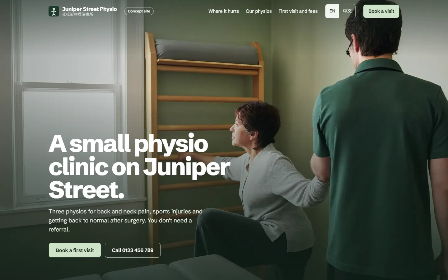 Juniper Street Physio home page: a physio steadies an older patient at the wall bars in a sage-green treatment room, with the clinic's name over the photo