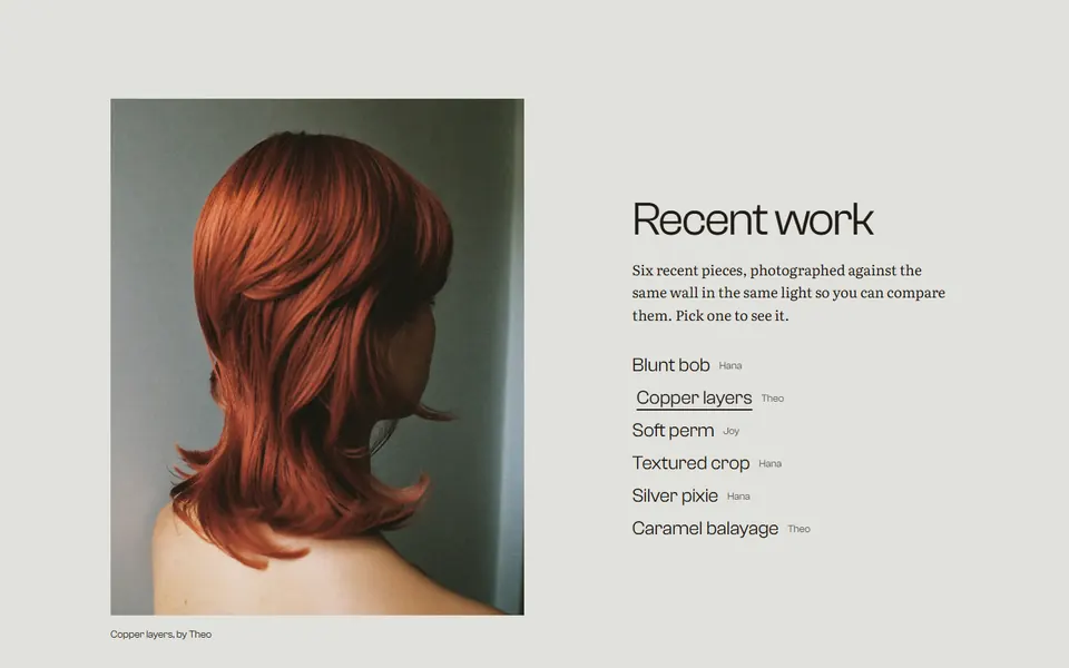 Recent work: one photo of copper-coloured hair beside a list of six pieces to choose from
